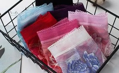 虎胆雄心百度影音